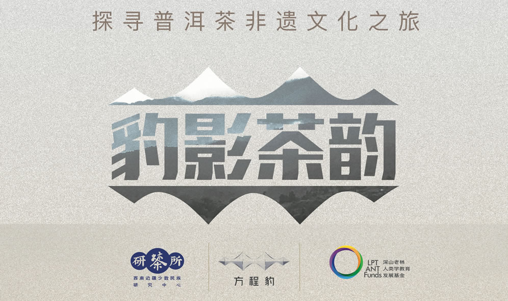 豹影茶韵 | 深山老林与比亚迪方程豹茶山文化之旅