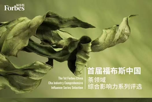 深山老林荣登福布斯中国茶业文化影响力品牌榜