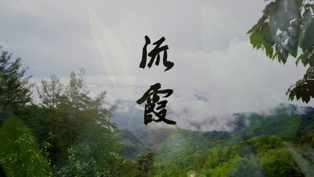微信图片_20241113085722.jpg