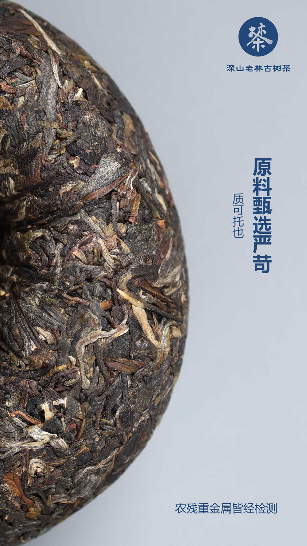 深山老林育珍茗，龙蛇之变兆祥瑞7.jpg