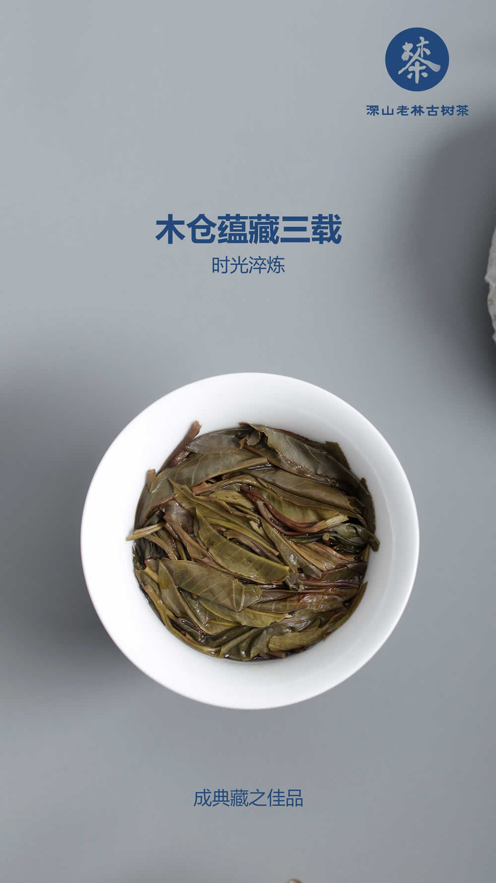 深山老林育珍茗，龙蛇之变兆祥瑞6.jpg