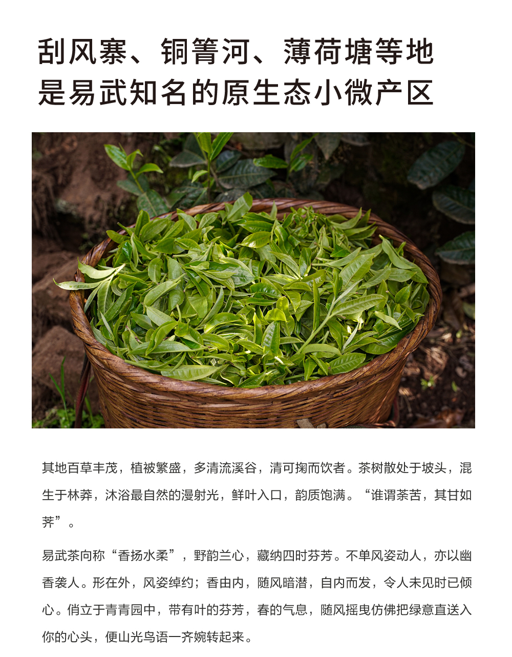未命名-4_r1_c1.jpg