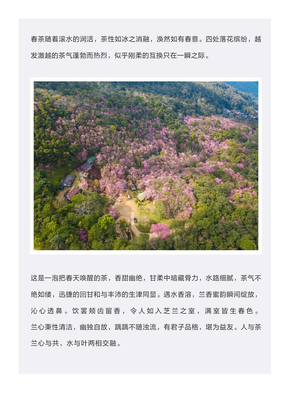 未命名-9.jpg