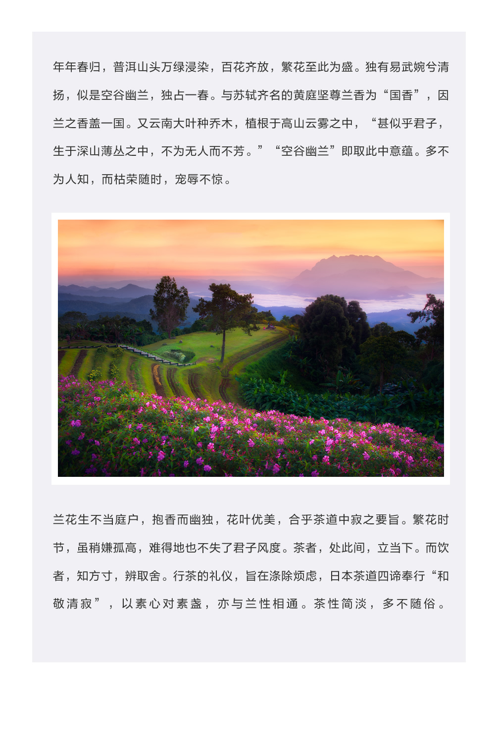 未命名-4.jpg