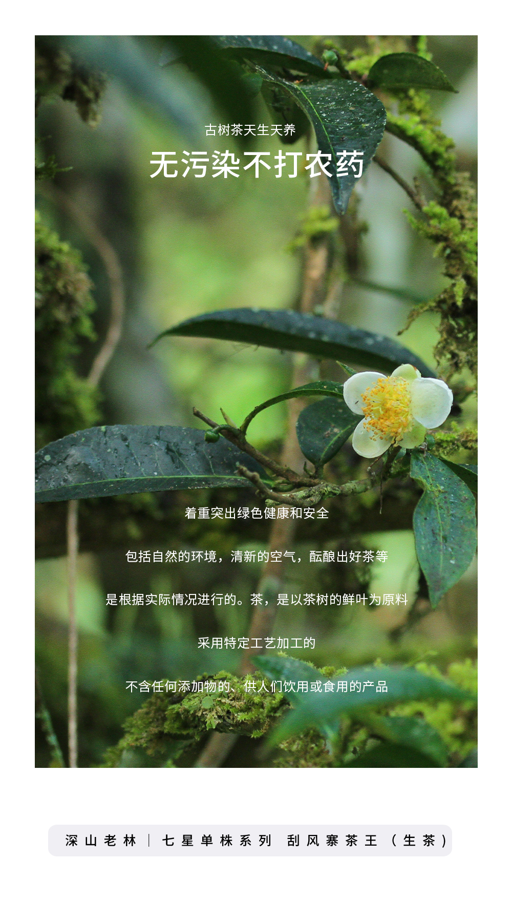 未命名-4_r3_c1.jpg