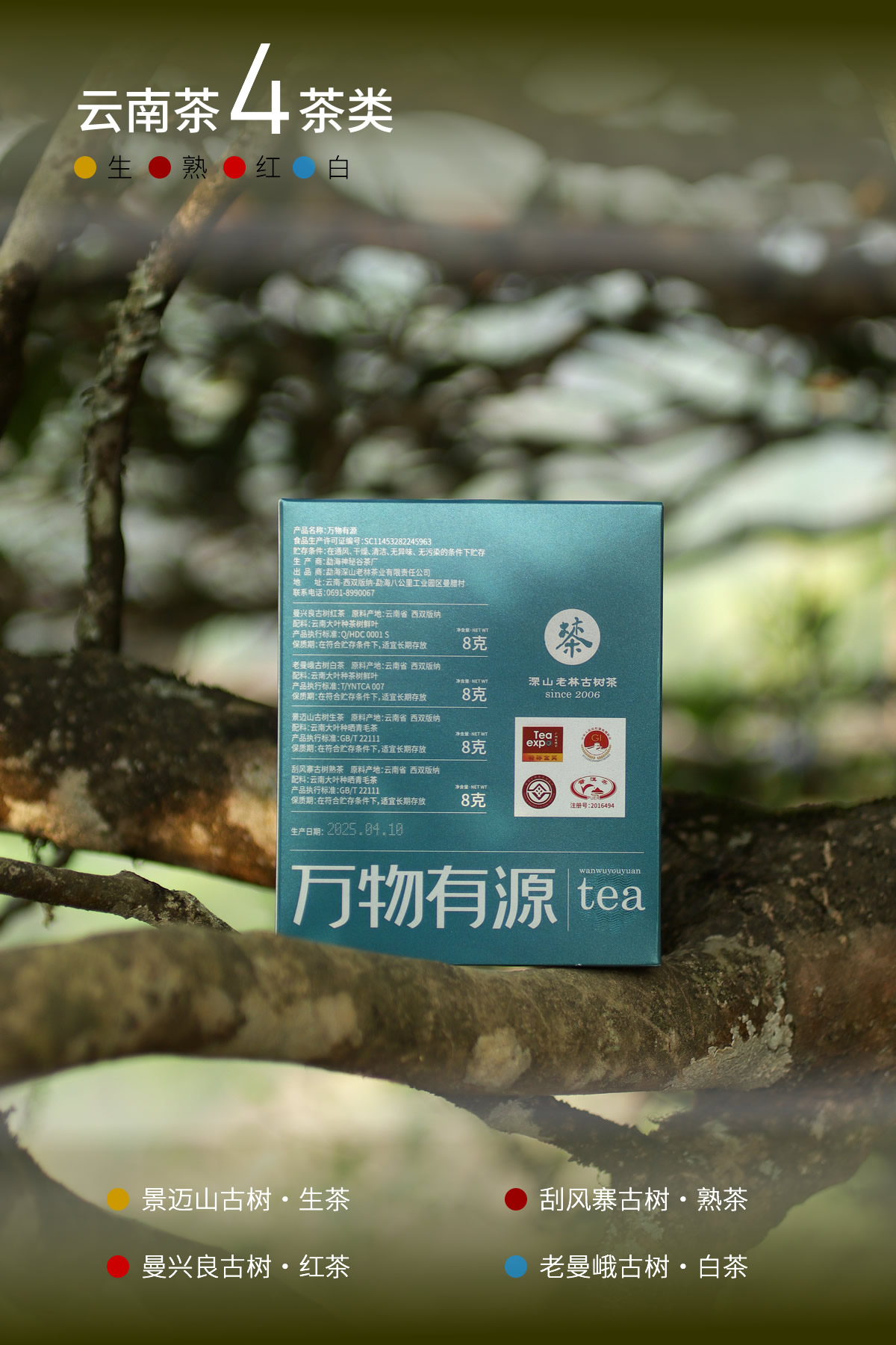 IMG_2437改.jpg