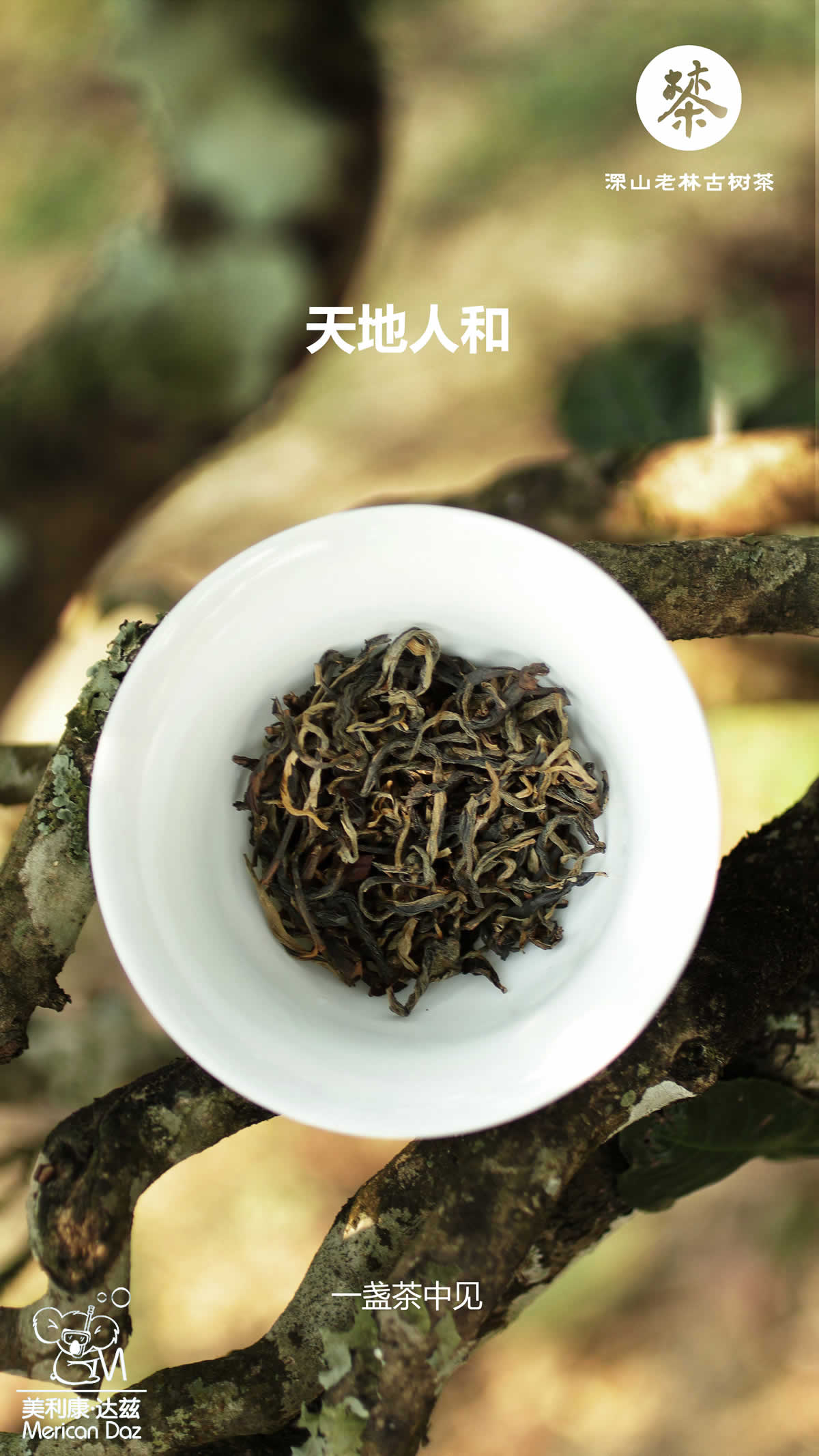 万物有源2.jpg