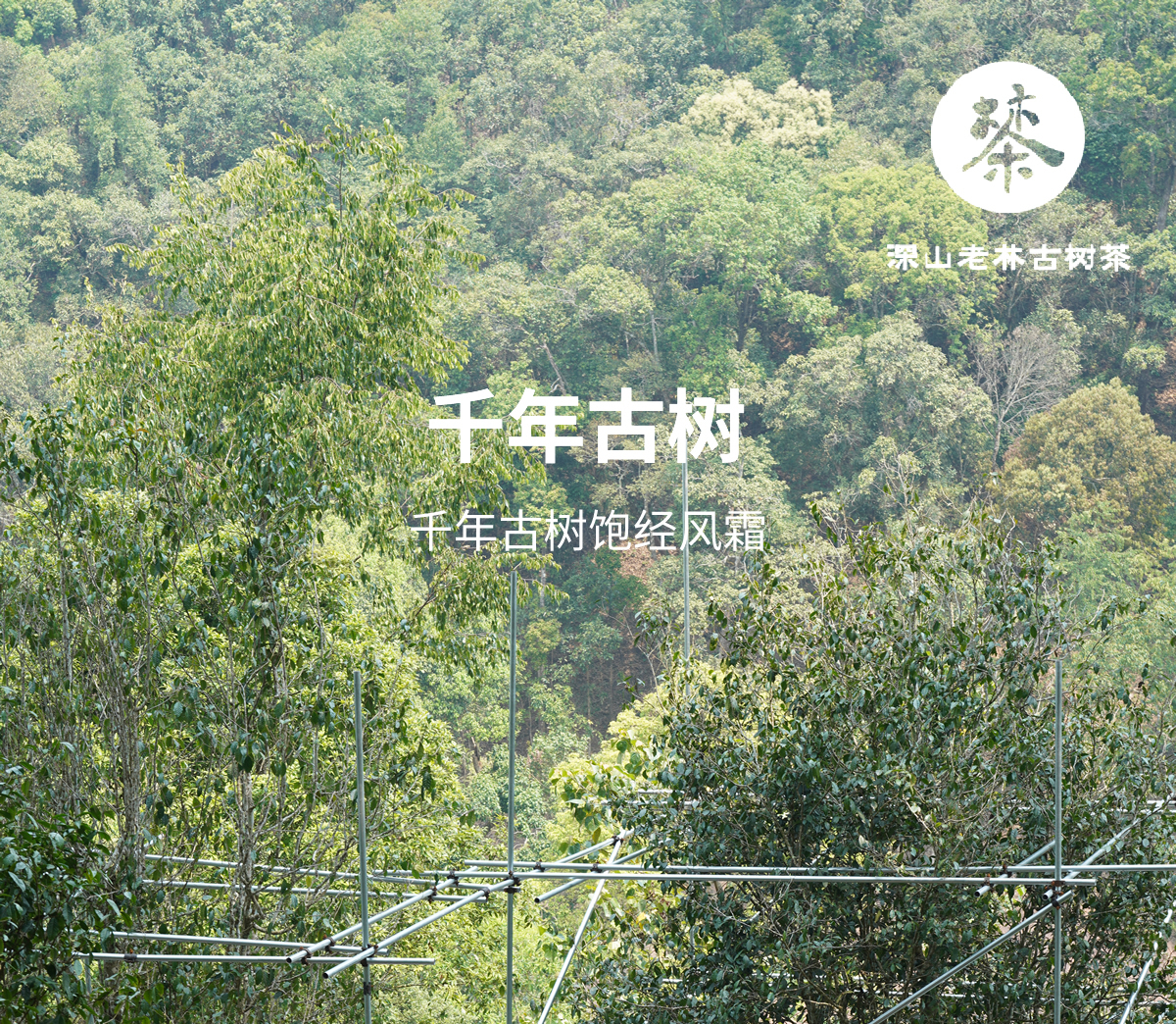 未命名4_r1_c1.jpg