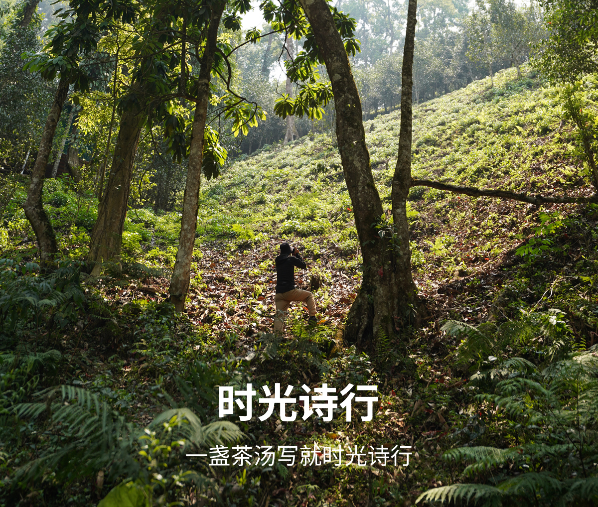 未命名-1_r2_c1.jpg