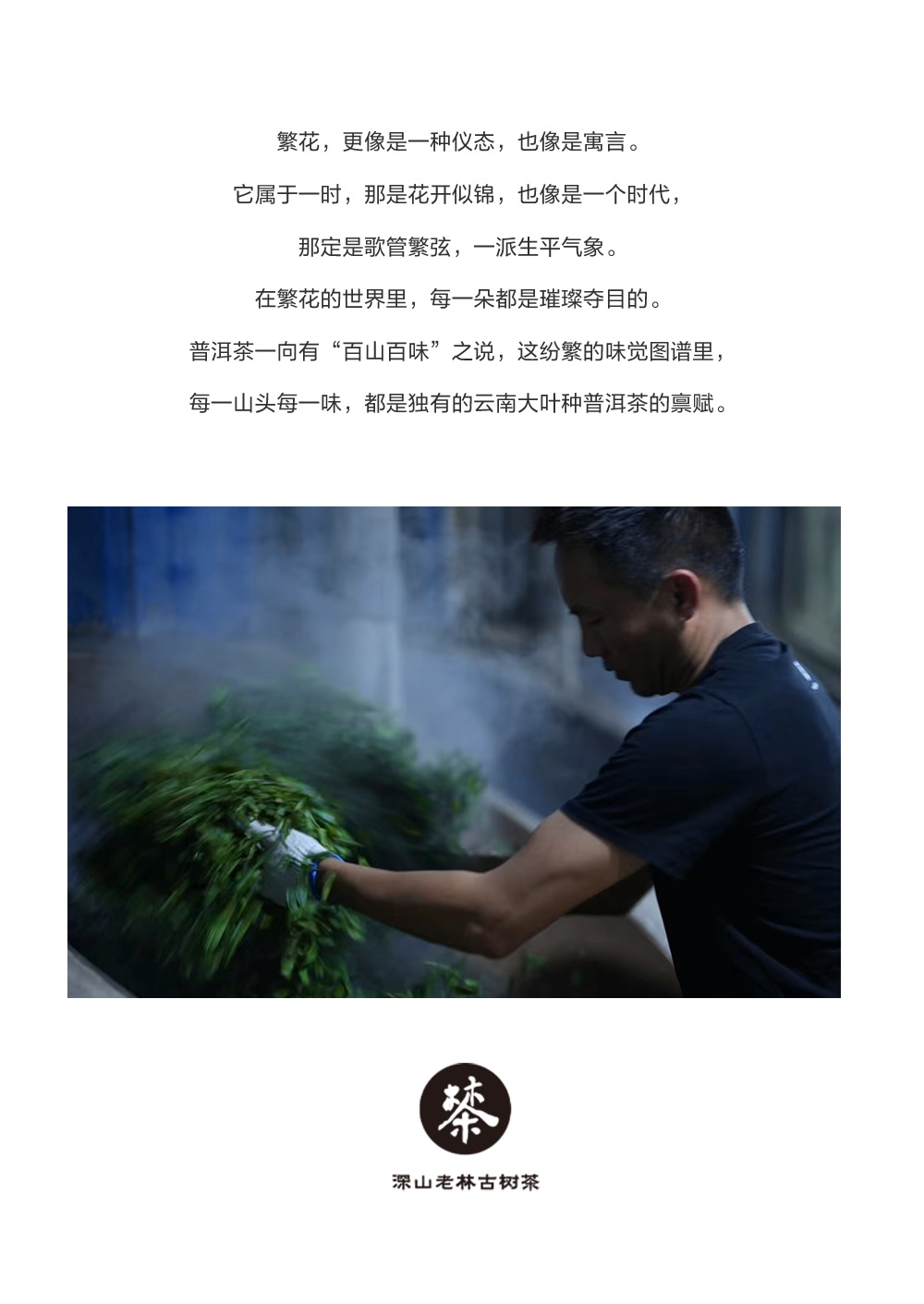 未命名-1_r2_c1.jpg
