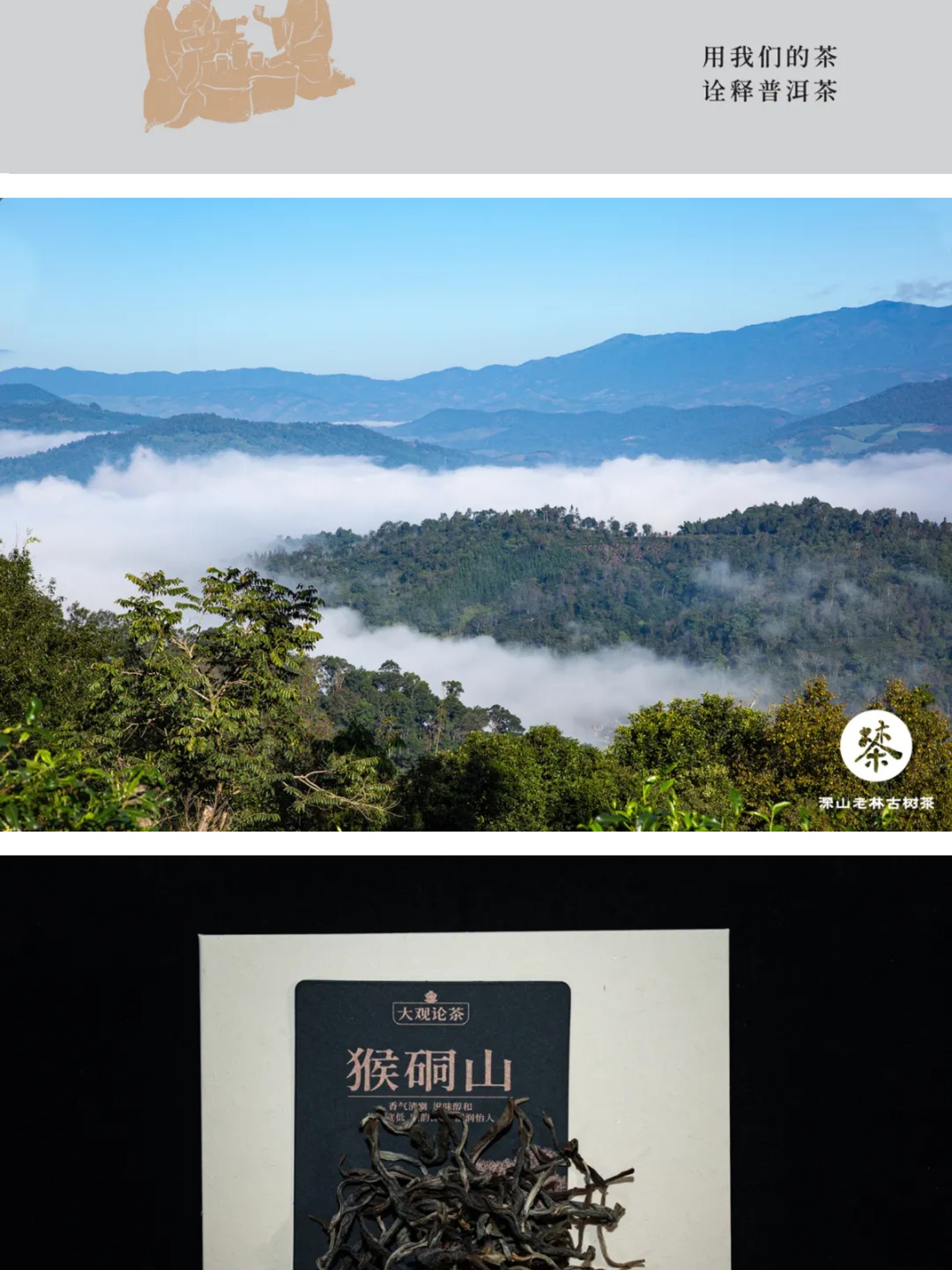 show_639050592_1753774764244_slice_16.jpg
