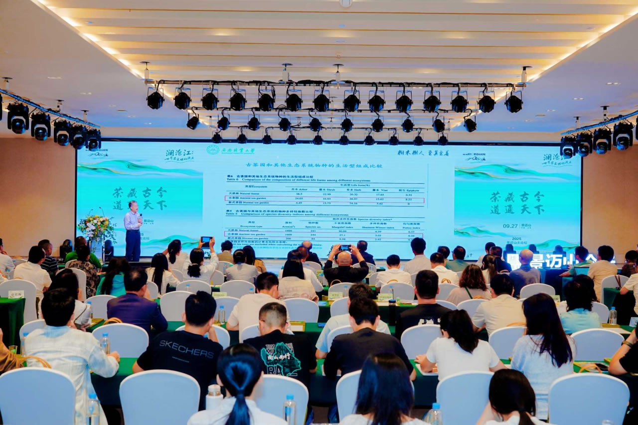改6.jpg